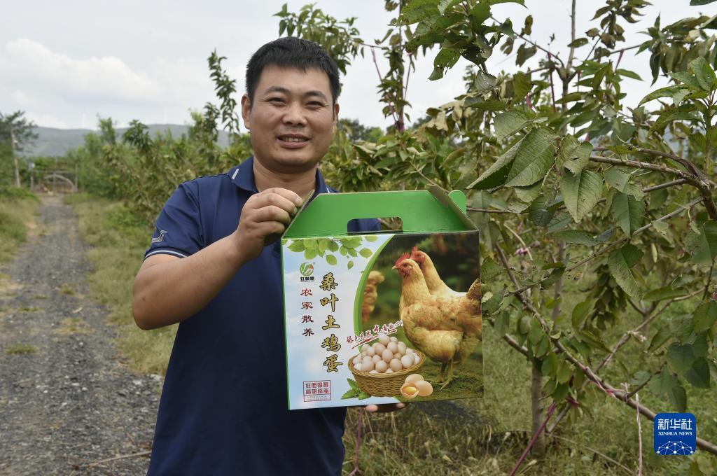 捕鱼交易平台