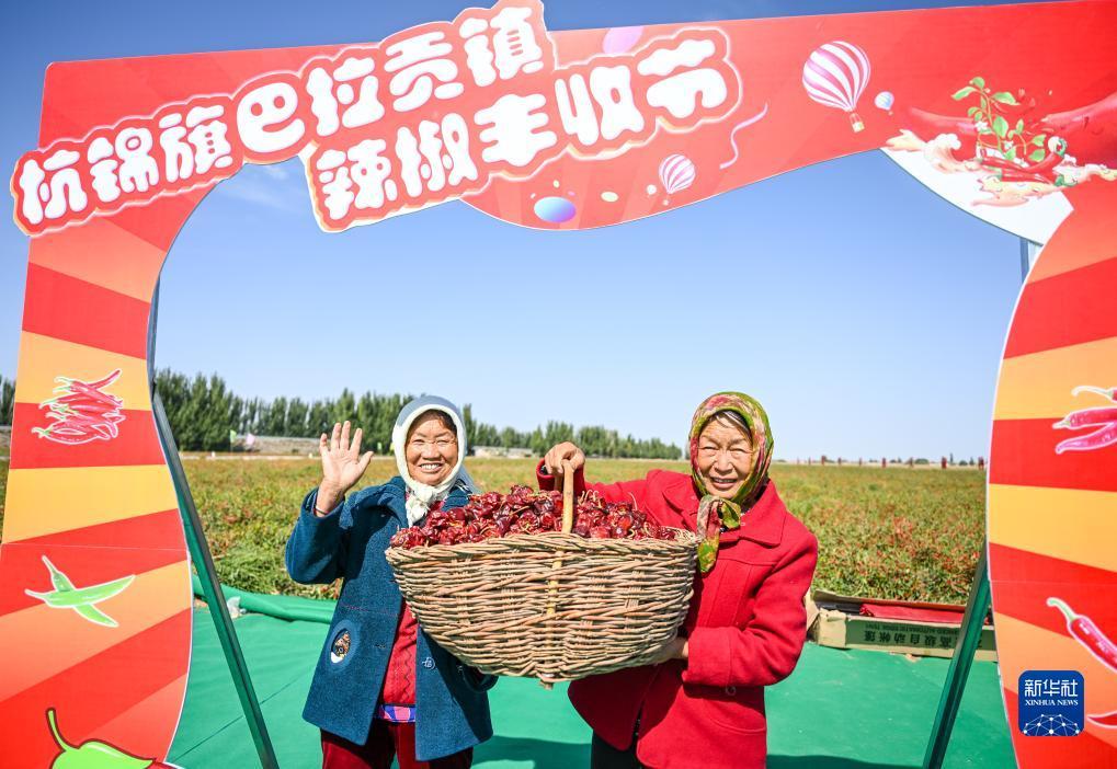 手机板mg000娱乐场
